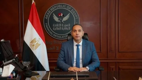 الرقابة المالية