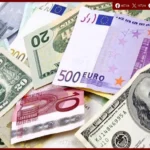 استقرار نسبي في أسعار صرف العملات الأجنبية أمام الجنيه المصري بالبنوك