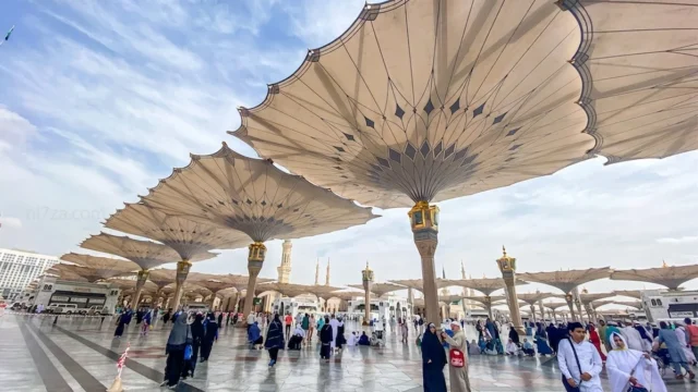 المدينة المنورة