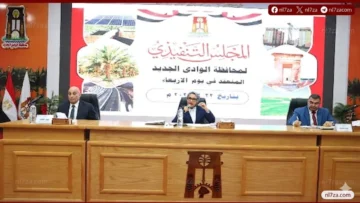 الوادي الجديد