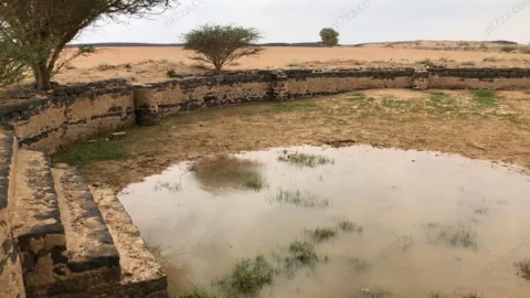 برك درب زبيدة