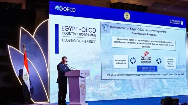 برنامج التعاون مصر OECD 2026