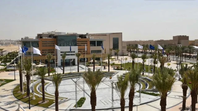 جامعة الأمير سلطان