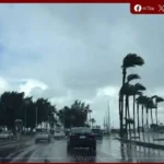أمطار ورياح تضرب السواحل.. والأرصاد تحذر من انخفاض الإحساس بالحرارة