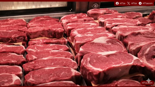أسعار اللحوم