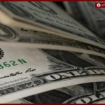 استقرار الدولار أمام الجنيه بالبنوك المصرية مع بداية تعاملات الثلاثاء