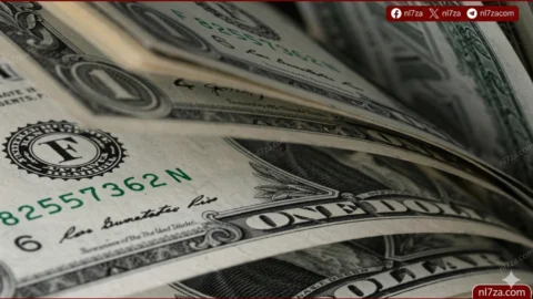 سعر الدولار