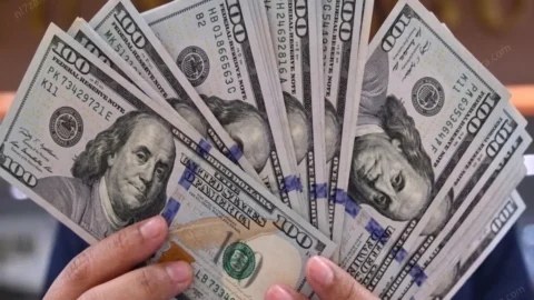 سعر الدولار