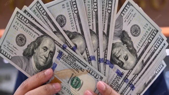 سعر الدولار