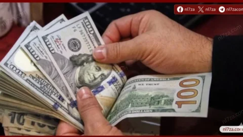 سعر الدولار اليوم في مصر 2026