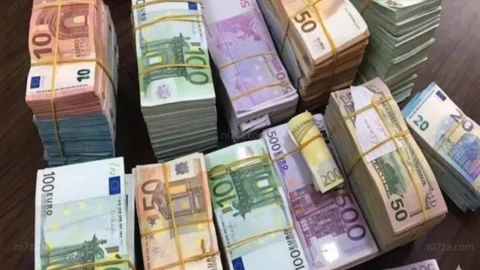 سعر اليورو