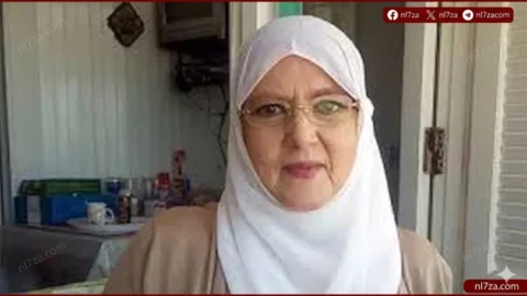 شمس البارودي
