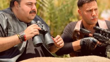 صقر وكناريا