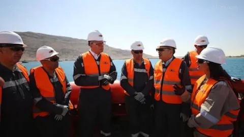 كريم بدوي