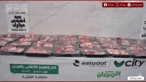 محافظ الغربية يشيد بدور الأورمان