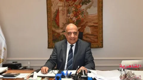 محمود عصمت