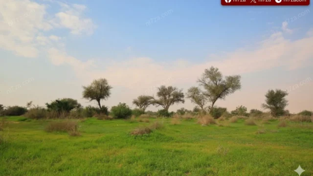 محمية الملك عبدالعزيز