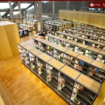 مكتبة الإسكندرية تستضيف ندوة “إحياء الأصداء” وتعزز التعاون الثقافي مع كرواتيا