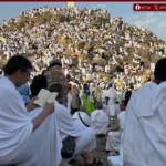 التضامن: استقرار الحالة الصحية لحجاج الجمعيات الأهلية بالمشاعر المقدسة
