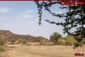 نجران.. بوابة القوافل التاريخية ومحطة عبور الحجاج عبر الجزيرة العربية