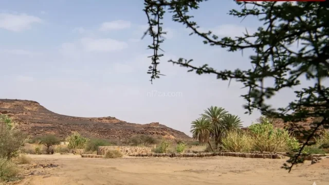 نجران